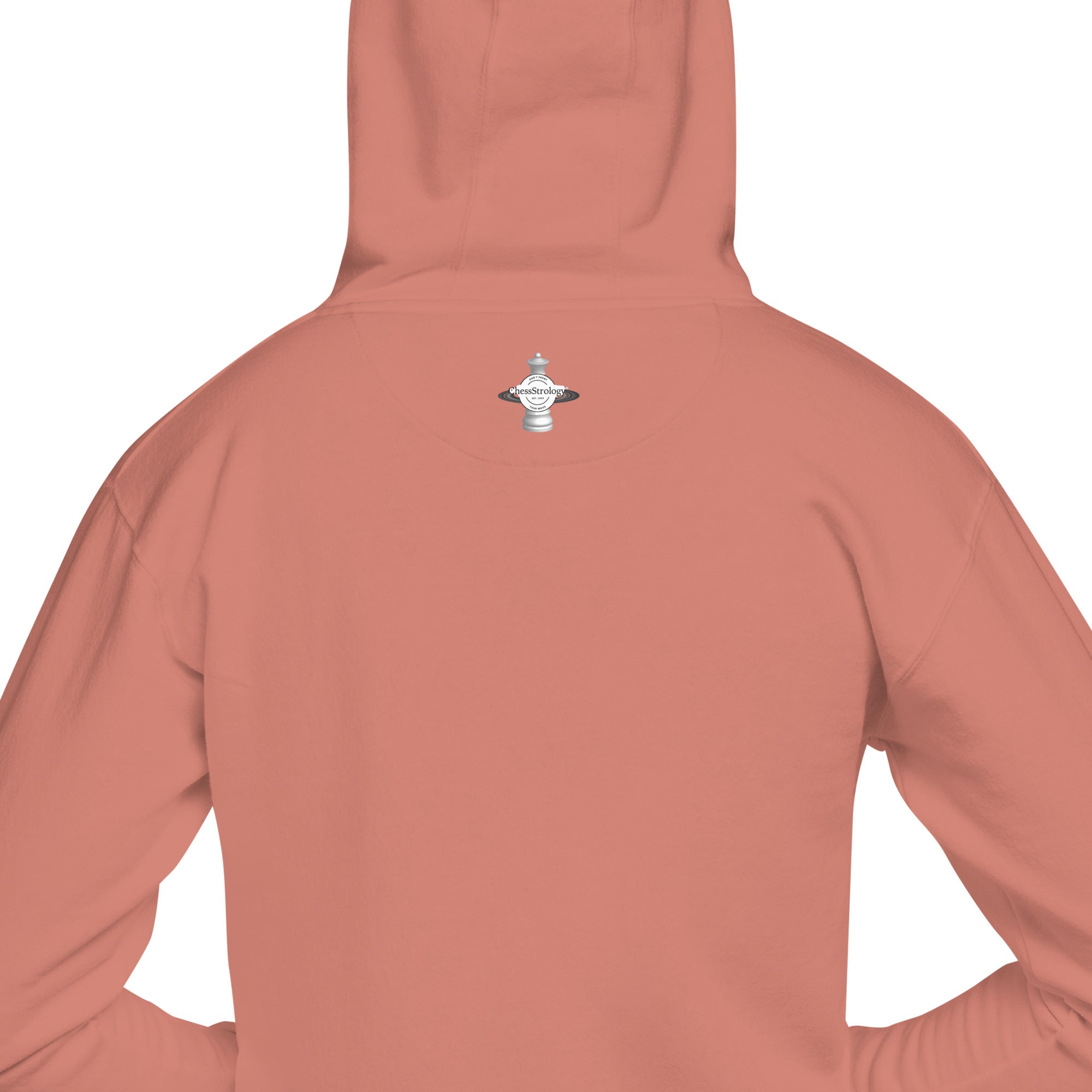 ChessStrology Zodiac Unisex Aquarius Hoodie