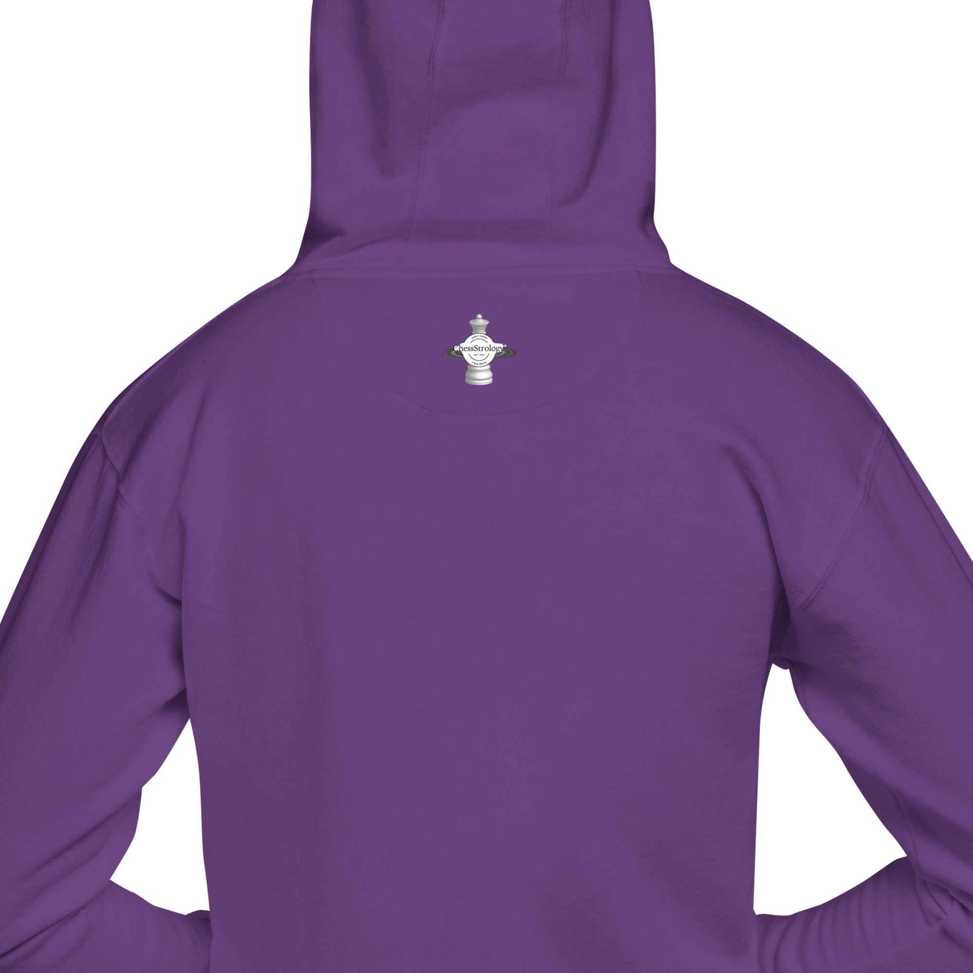 ChessStrology Zodiac Unisex Aquarius Hoodie